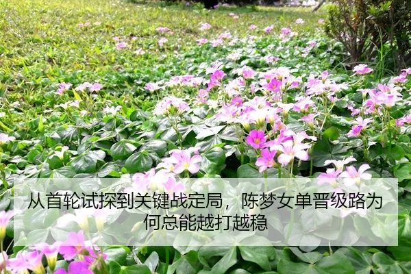 cong-shou-lun-shi-tan-dao-guan-jian-zhan-ding-ju-chen-meng-nv-dan-jin-ji-lu-wei-he-zong-neng-yue-da-yue-wen-2-681.jpg